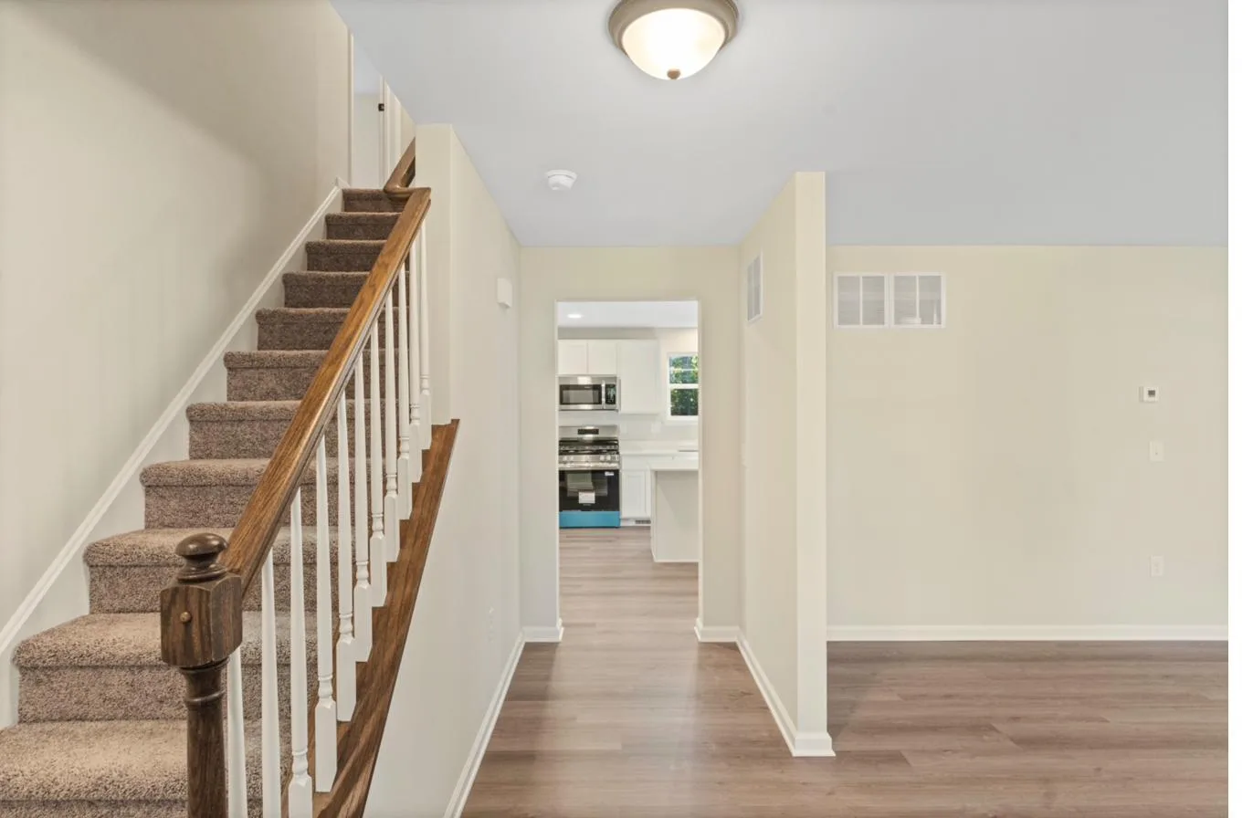 Isabella 1-Car interior