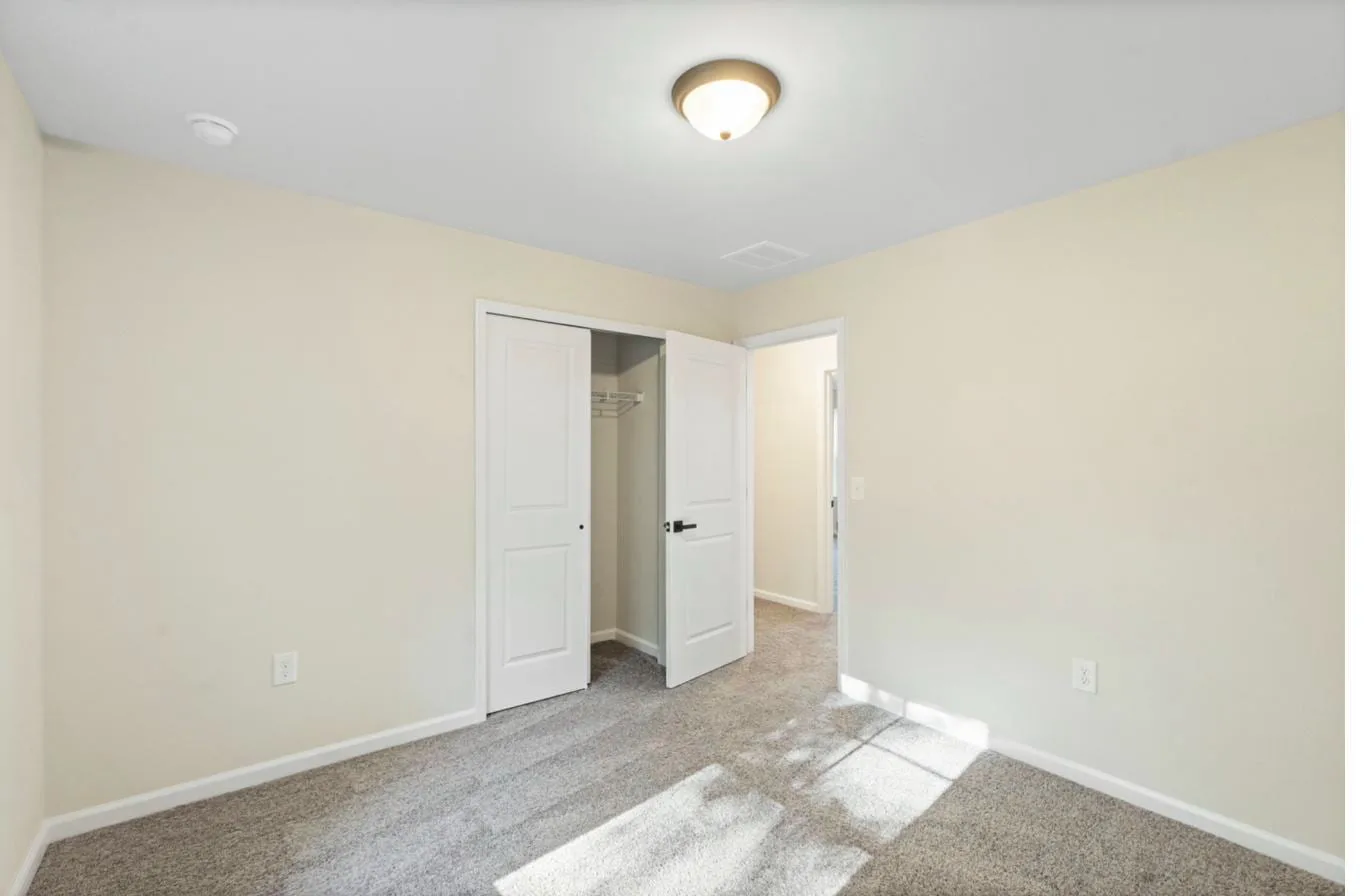 Isabella 1-Car interior