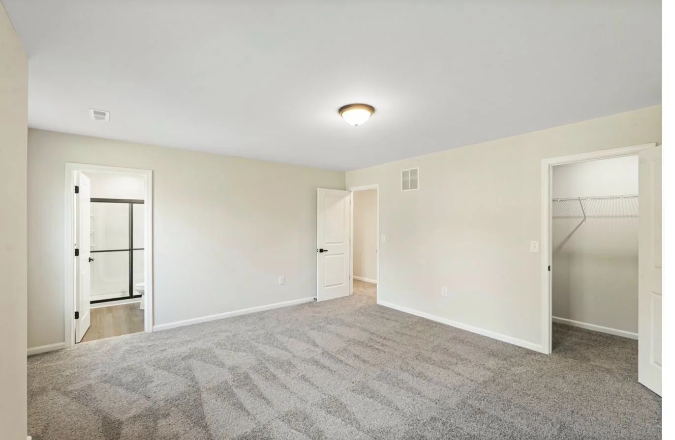 Isabella 1-Car interior