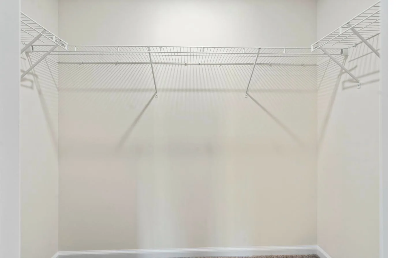 Isabella 1-Car interior