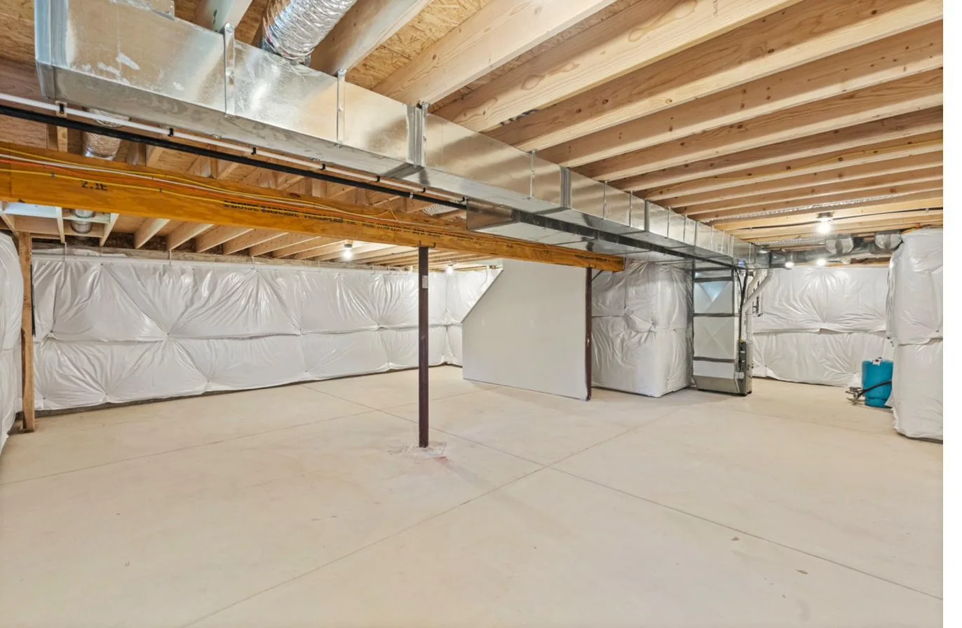 Isabella 1-Car interior