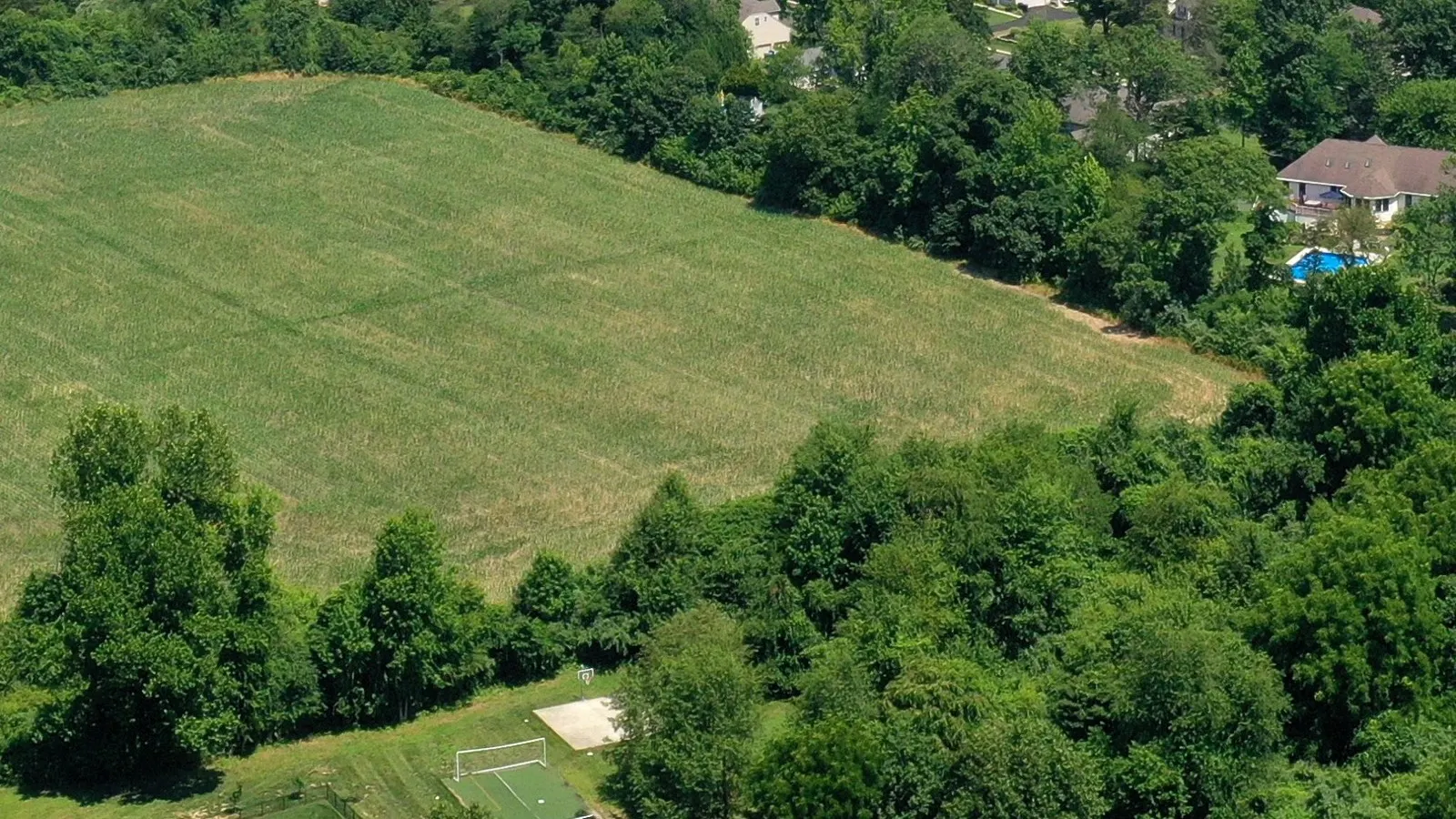 An open farm field with woods and houses along its edge, seen from the air
