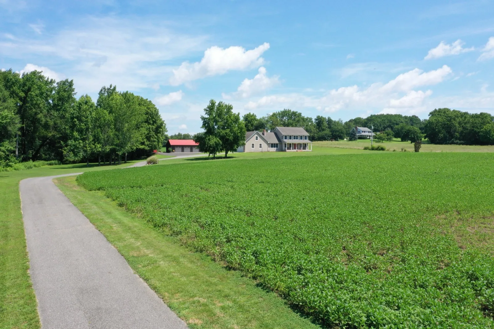 A lane running past open crop ground to a farmhouse in South Jersey