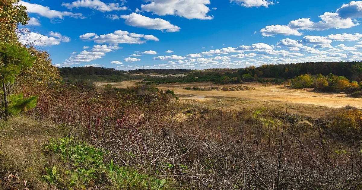 Open ground and a tree line under a wide sky in Voorhees Township
